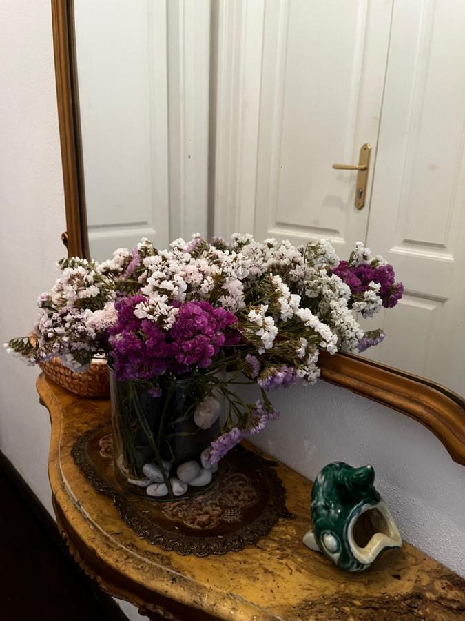 Apartment Hisa 7 ピラン エクステリア 写真